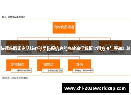 快速获取国家队核心球员伤停信息的高效途径解析实用方法与渠道汇总