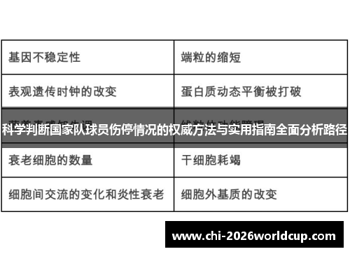科学判断国家队球员伤停情况的权威方法与实用指南全面分析路径