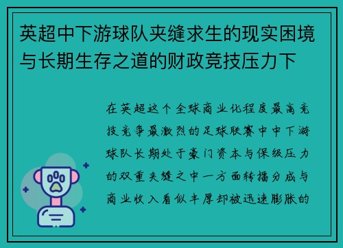 英超中下游球队夹缝求生的现实困境与长期生存之道的财政竞技压力下